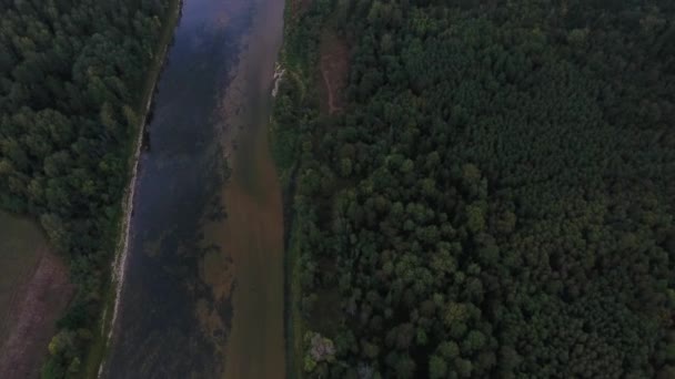 Fliegen über den schönen herbstlichen Fluss. ural, Russland. — Stockvideo