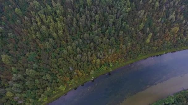 Fliegen über den schönen herbstlichen Fluss. ural, Russland. — Stockvideo