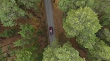 Orman ve Otoban yol dron görünümü.