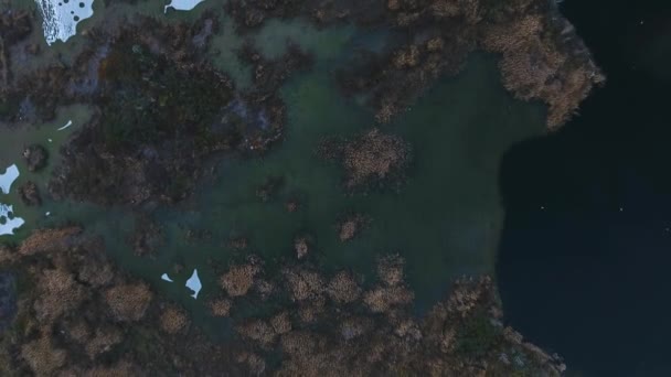 飞越咸的湖泊被废物污染. — 图库视频影像