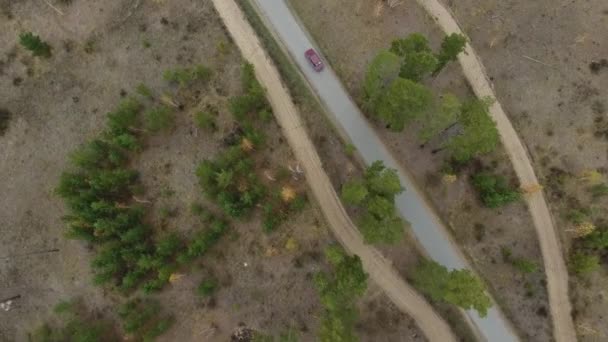 Drohnenblick auf Wald und Autobahn. — Stockvideo