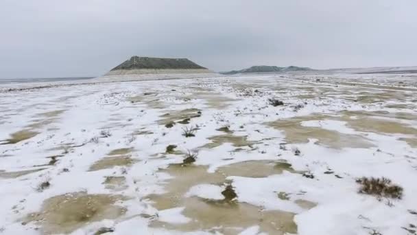 Manada de camelos que se move através do deserto coberto de neve no inverno. Cazaquistão Ocidental, Península de Mangyshlak . — Vídeo de Stock