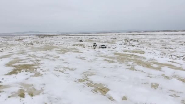 Manada de camellos moviéndose a través del desierto cubierto de nieve en invierno. Kazajstán Occidental, Península de Mangyshlak . — Vídeo de stock