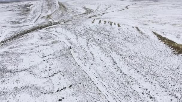 Drie SUV's beweegt langs de rand van een zandstrand klif van de met sneeuw bedekte woestijn in de winter. West Kazachstan, Mangyshlak schiereiland. — Stockvideo