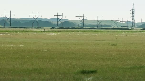 Hochspannungselektrizitätsmast. grüne Hügel aus Bergbauabfällen im Hintergrund. — Stockvideo