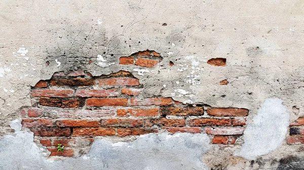 Muro Mattoni Danneggiati — Foto Stock