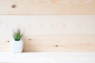 ahşap masaya konulan küçük bir tencerede sulu bitki 