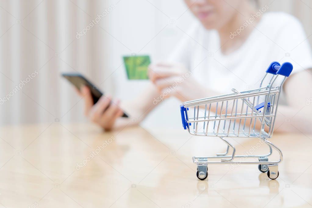 Woman shopping at the desk with miniature trolley
