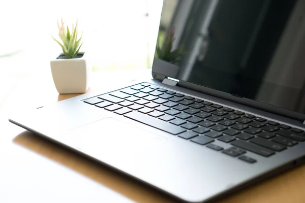 Werkruimte met laptop computer, kantoorbenodigdheden bloem plant op — Stockfoto