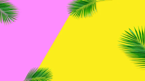 Composição de verão. Folhas de palma tropicais no fundo amarelo. S — Fotografia de Stock