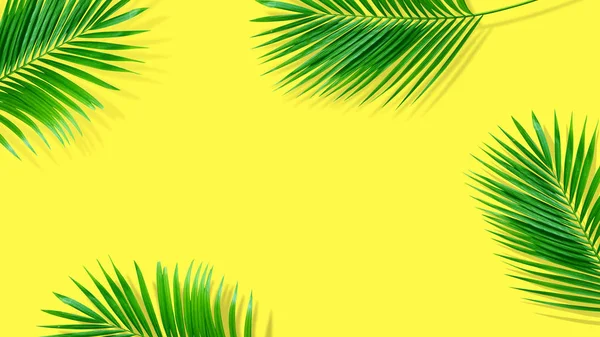 Nyári kompozíció. Trópusi Pálma levelek sárga háttérrel. S — Stock Fotó