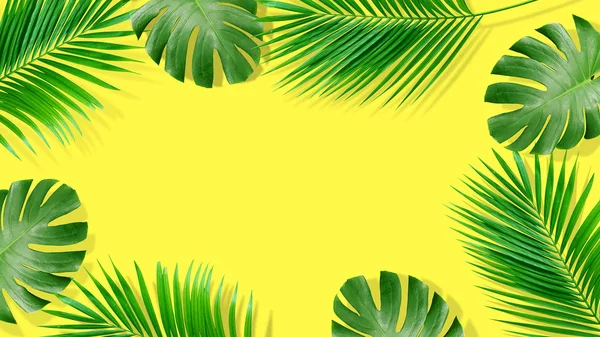 Summer composition. Tropical palm leaves on yellow background. S