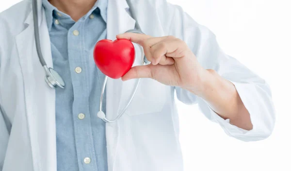 Médico Está Segurar Coração Nas Mãos Coração Uma Vida — Fotografia de Stock