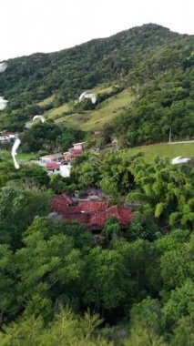 Beyaz kuş sürüsünün sersemletici, yavaş çekimde hava aracı görüntüsü kırsal bir bölgeden kaçan sığır balıkçıl balıkları gibi. Görüntüler kuşların zarif hareketlerini gösteriyor. Yeşil ağaçlar ve tepeler arasında.