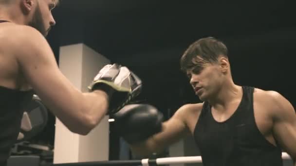 Boxer képzés lyukasztó a partner — Stock videók