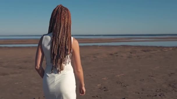 Vista trasera de la joven mujer caminando en la playa — Vídeos de Stock