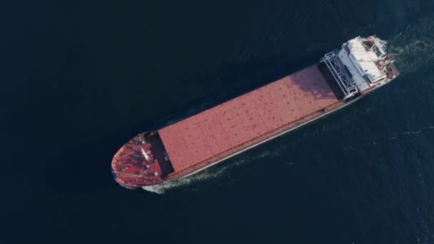 Floating cargo ship — Stock Video