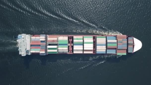 Aerial View Container Ship Sailing Sea Royalty Free Stock Footage