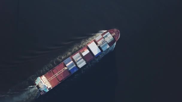 Navio porta-contentores navegando no mar — Vídeo de Stock