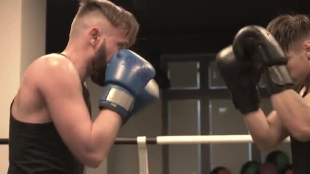 Dois boxers treinando socos e defesa — Vídeo de Stock