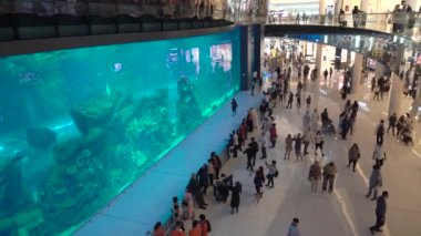 Dubai Mall ziyaretçilerinin ayakta ve büyük akvaryum yakınında fotoğraf çekmek