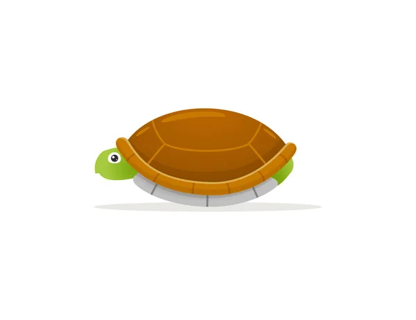 Черепахи Прячутся Раковине — стоковый вектор
