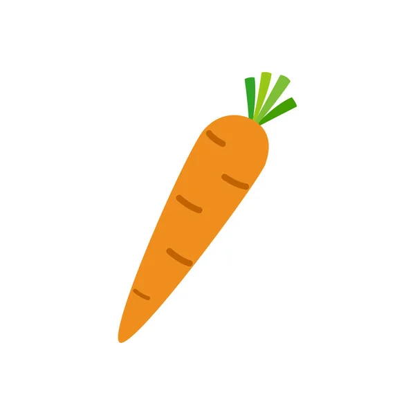 Zanahoria Naranja Con Hojas Largas — Vector de stock