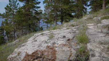 Güzel ve görkemli bir hiç yeşil orman Dağları'nda çekim.