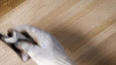 marangoz ahşap tahta üzerinde parlatma için hareketli el close-up hazırlanıyor vernik uyguluyor