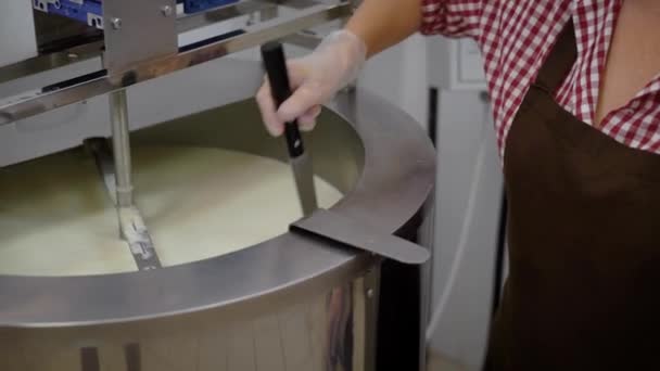 Работница сливочного завода режет сырную массу в большой металлической миске после брожения, используя длинный нож — стоковое видео