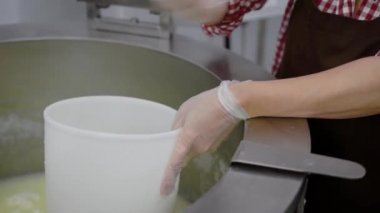 iki kadın işçi küçük peynir fabrikası'nın peynir kitle makine metal kaseden alma ve peynir kafa şekillendirme