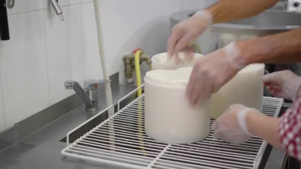 Dos queseros están convirtiendo cabezas de queso en cuencos durante el proceso de formación en la sala de la fábrica, con uniforme protector — Vídeo de stock