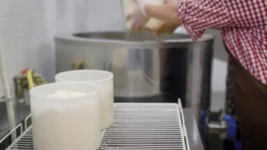 Çalışan bir plastik peynir lor koyarak bir cheesemaking Fabrikası'nın kovalar. Lor kalıplar, profesyonel iş aşağı tuşuna basarak.