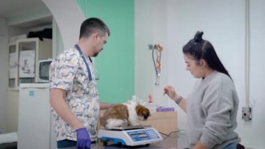 Veteriner adam shih tzu köpek modern klinik bir ofiste ağırlık köpek yavrusu, kadın sahibi yakın duruyor