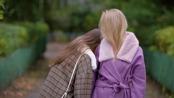 Dois amigos encontraram-se na rua. As meninas são muito alegres, eles estão felizes em ver um ao outro . — Vídeo de Stock