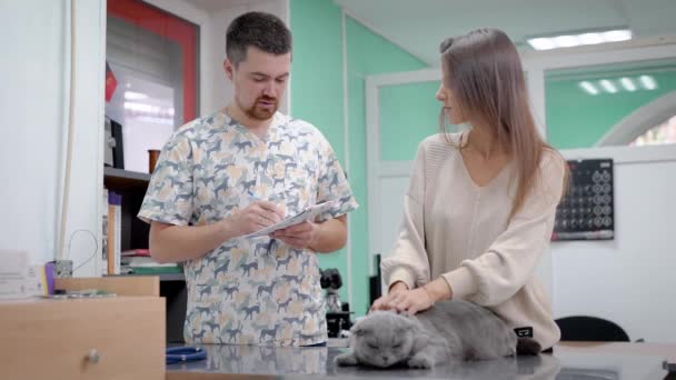 Tierarzt verschreibt Medikamente für Katzen, spricht mit einer Frau über Katzen Gesundheit drinnen, Tierklinik. — Stockvideo