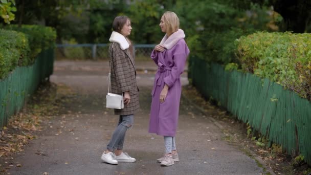 Two women speaking in park — Stock Video