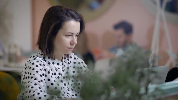 Donna bruna adulta sta sorseggiando caffè in una sala luminosa di caffè accogliente e lavorando con il computer portatile, lavoro freelance — Video Stock