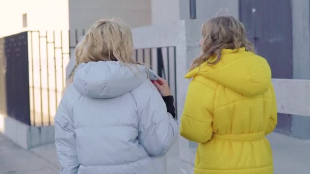 Dos amigas están caminando en frío y soleado día de otoño en la calle, charlando y chismorreando, vista trasera — Vídeo de stock