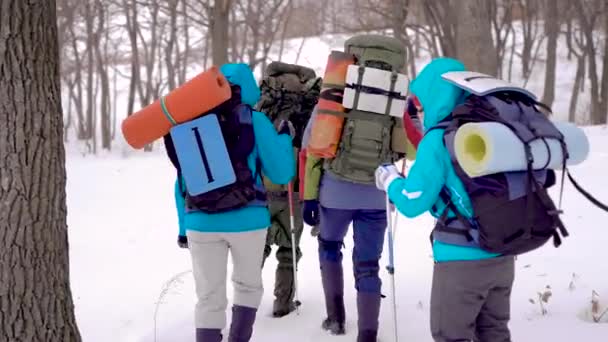 Quatro pessoas na expedição. A caminhada ocorre em condições difíceis, as pessoas caem em snowdrifts . — Vídeo de Stock