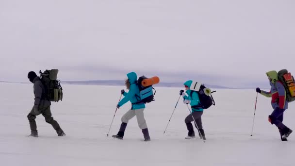 Four hikers are walking on each other over snow field in cold winter day, helping to themselves by sticks — Stock video