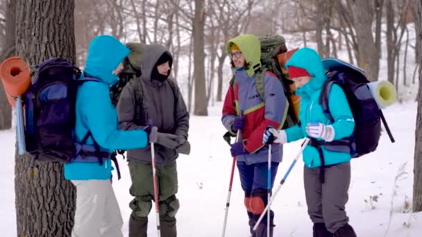 Молоді туристи носять теплі куртки і тримають рюкзаки, спілкуються і обговорюють в зимовому лісі — стокове відео