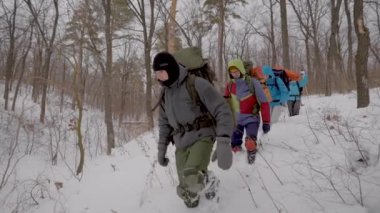 iki erkek ve iki kadın yürüyüşçüler gündüz kış ormanda gezinme, sopalarla kendilerini yardımcı