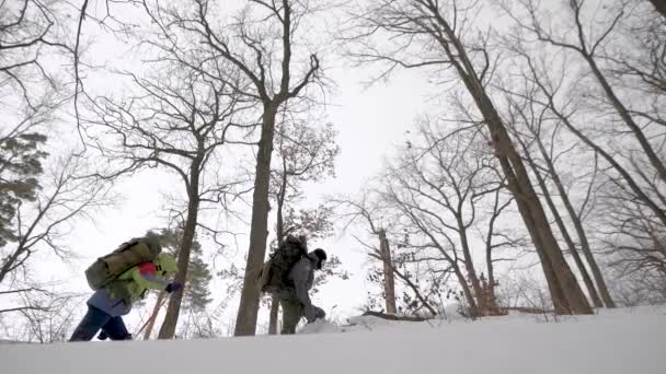 Tired tourists are sneaking over snow in woodland in winter day, tilt up view from snowdrift — Stock Video