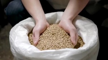 Brewer beyaz torbadan tüm tahıl Grist alıyor ve geri dökme, ellerin detay görünümü