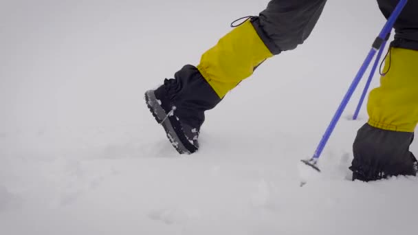 トレッキングギアで一人で雪の中を歩く人 — ストック動画