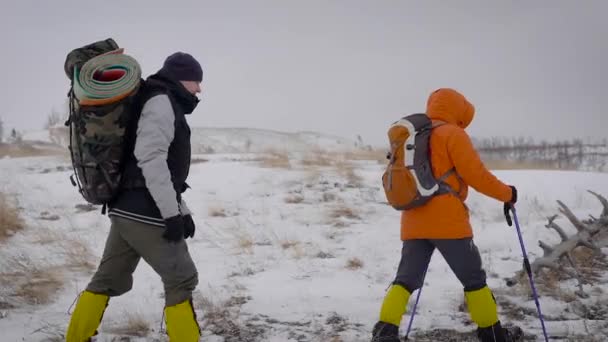 Dois homens caminhando registros e arbustos passados enquanto Trekking — Vídeo de Stock