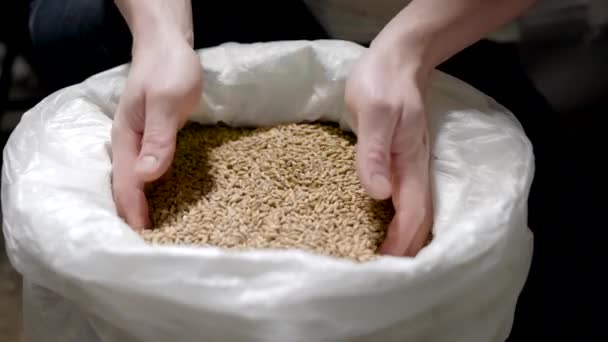 Взрослые люди высыпают зерно из пластиковой сумки — стоковое видео