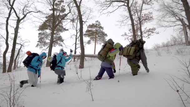 Pessoas caminhadas em montanhas de inverno — Vídeo de Stock