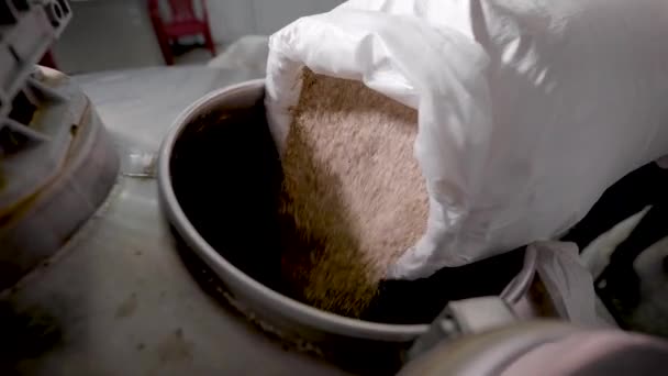 Primer plano de una cervecera vertiendo cebada de trigo fresco en un recipiente en una cervecería . — Vídeos de Stock